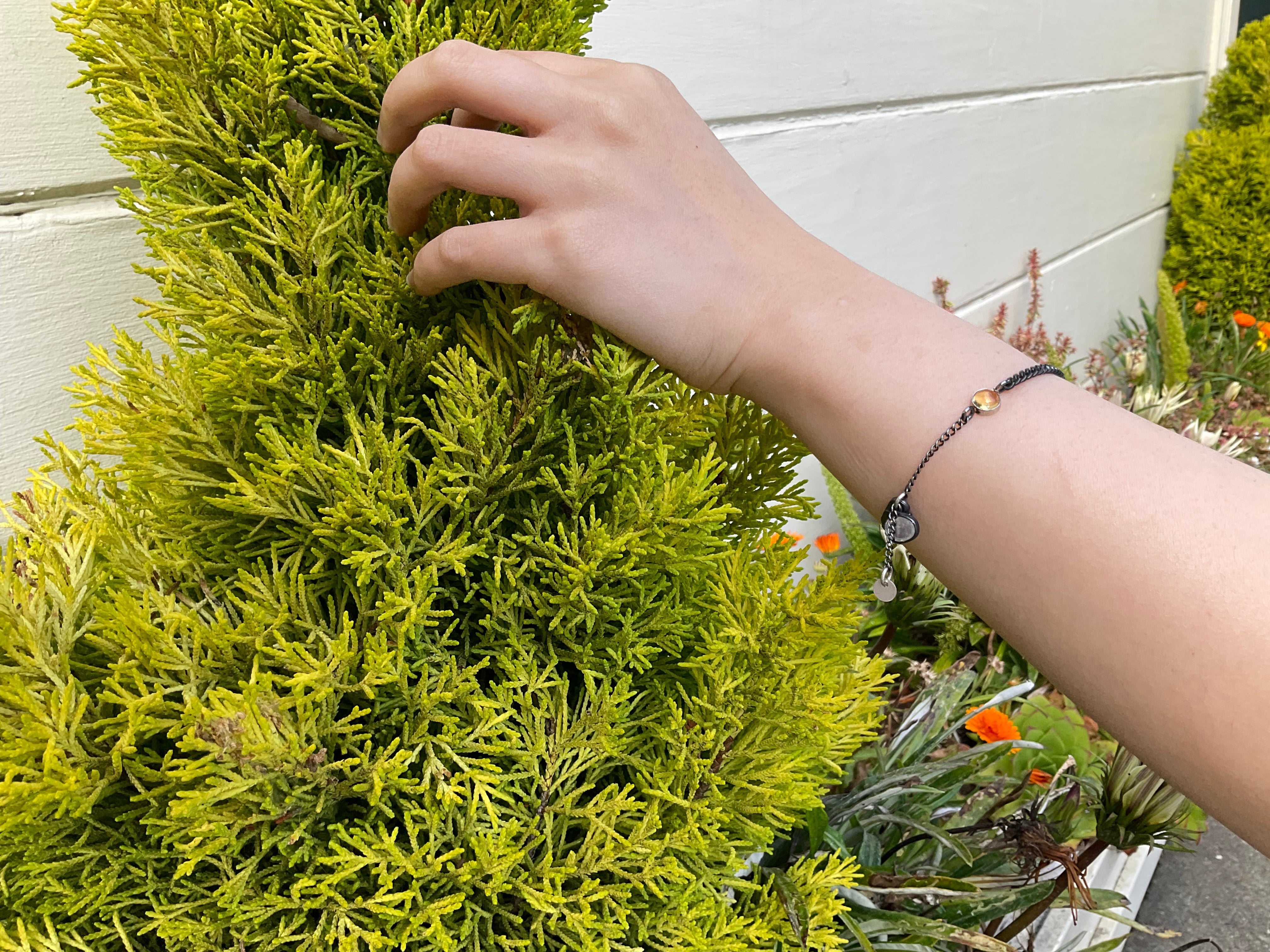 Moonstone Silver Chain Bracelet