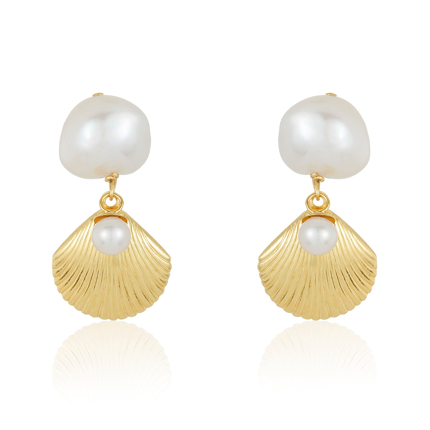 Shells of Aphrodite's