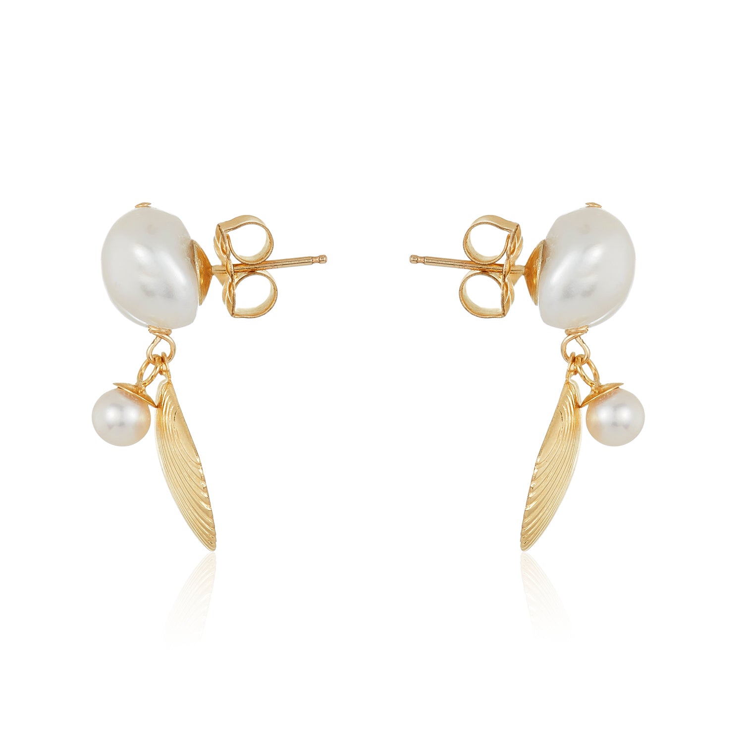 Shells of Aphrodite's