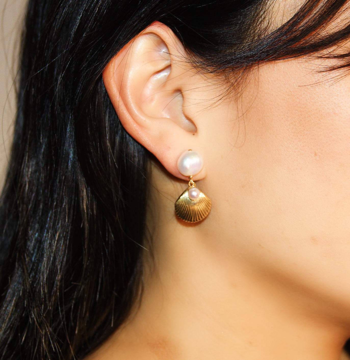 Shells of Aphrodite's