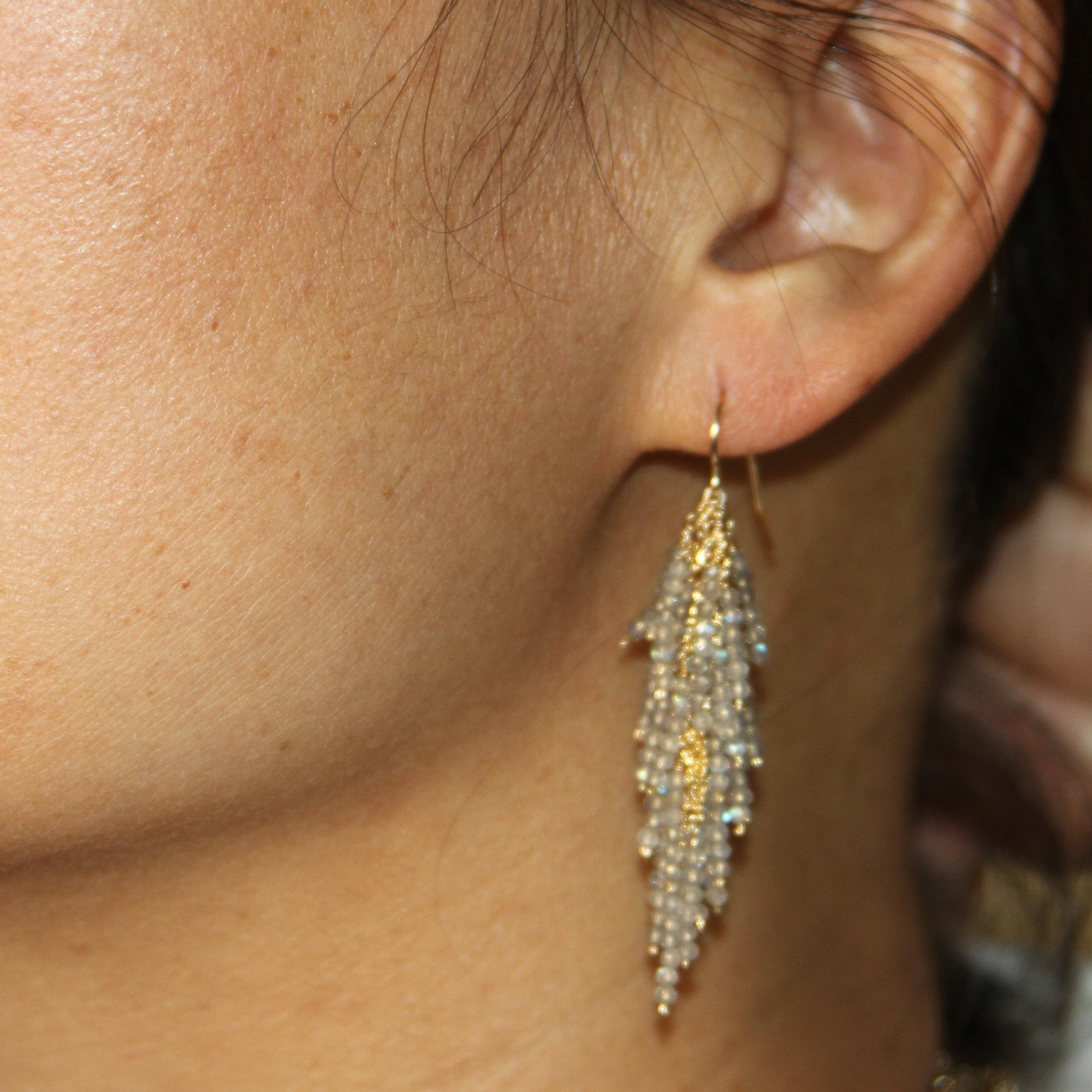 Firecracker II Earrings-Labradorite