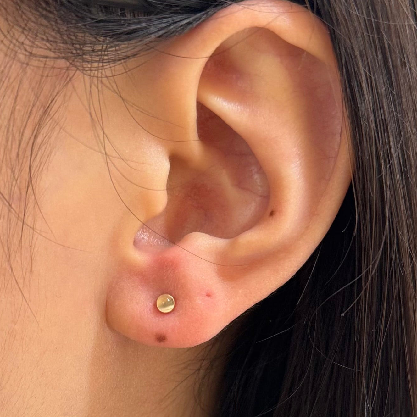 Petite Garnet Or Moonstone Studs