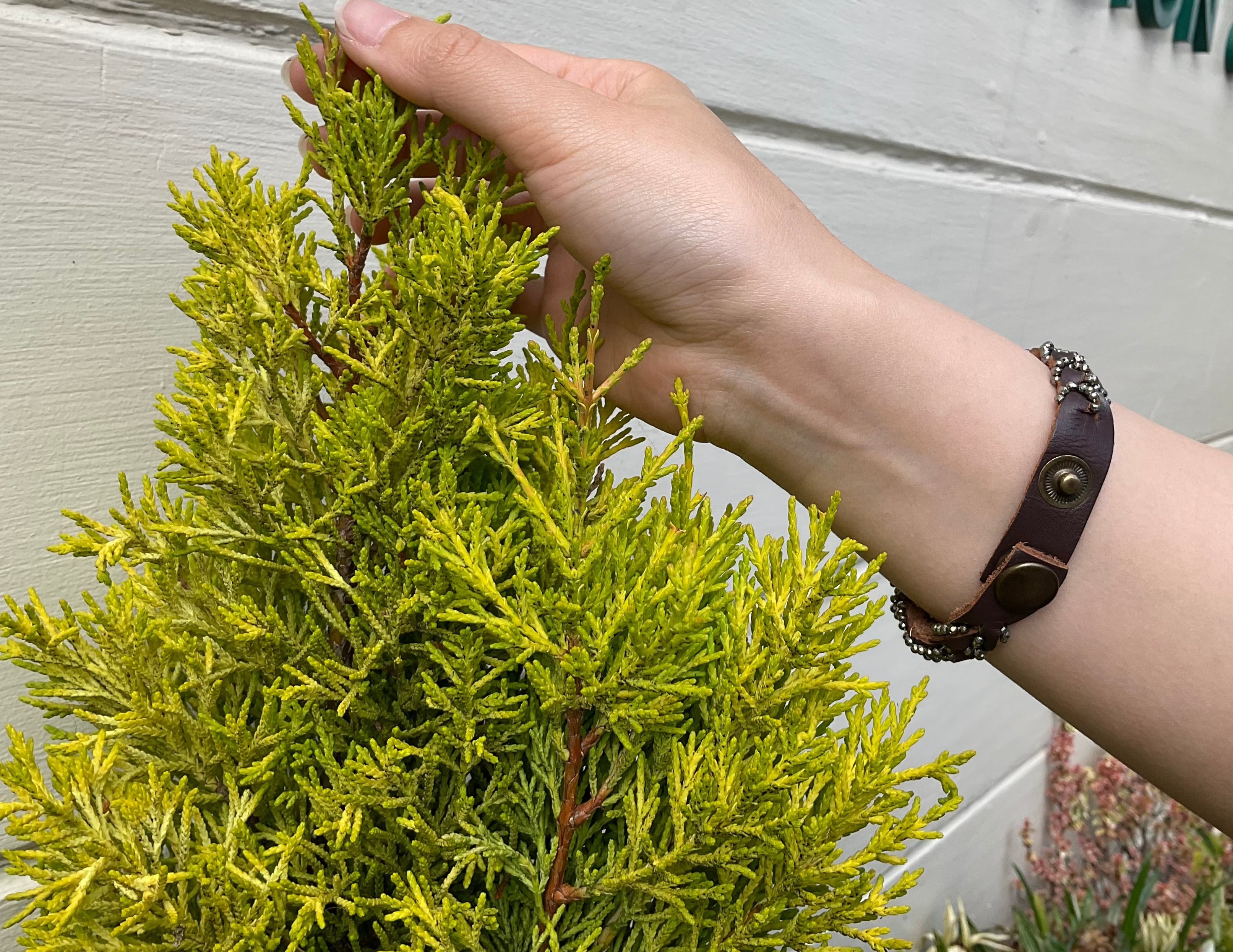 Woven Pyrite Braided Leather Bracelet