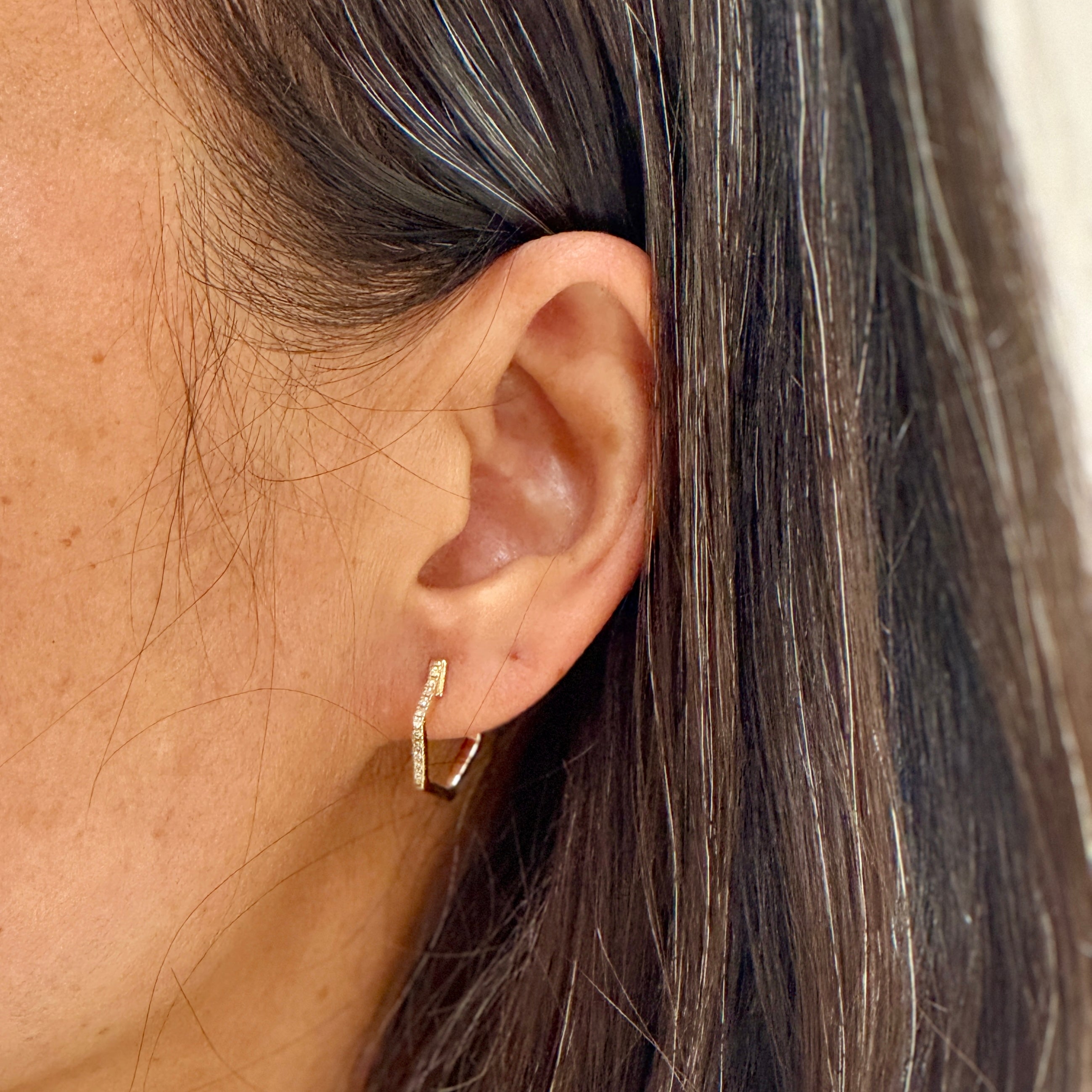 Hexagon Diamond Hoops Earrings In 14K