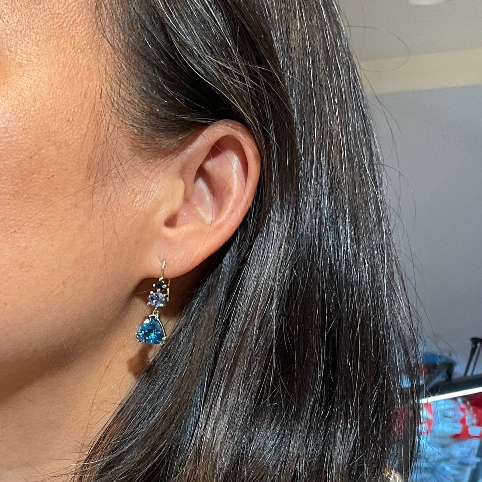 Frozen in Blue Earrings