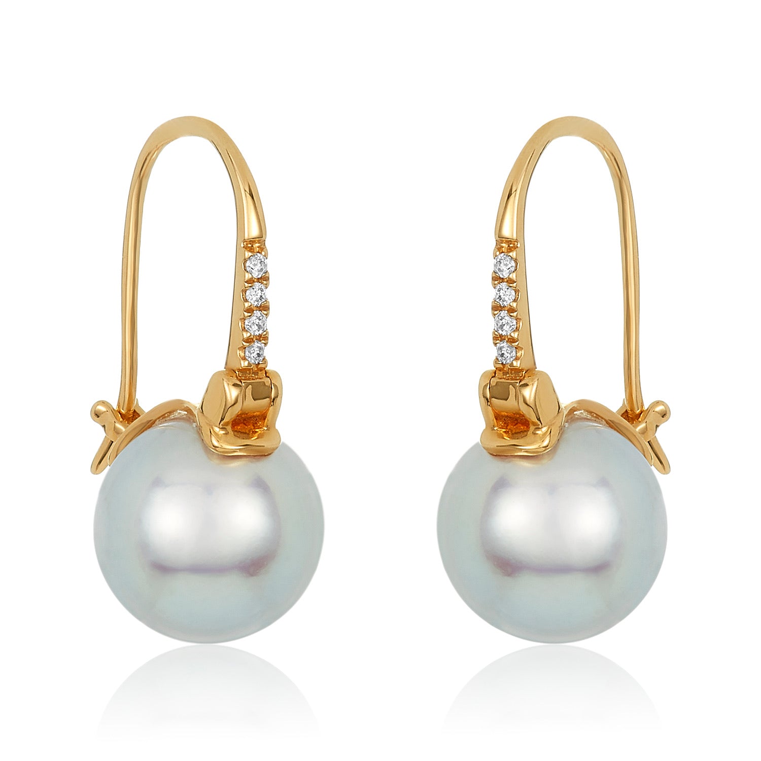 Akoya Pearl gold plated earrings